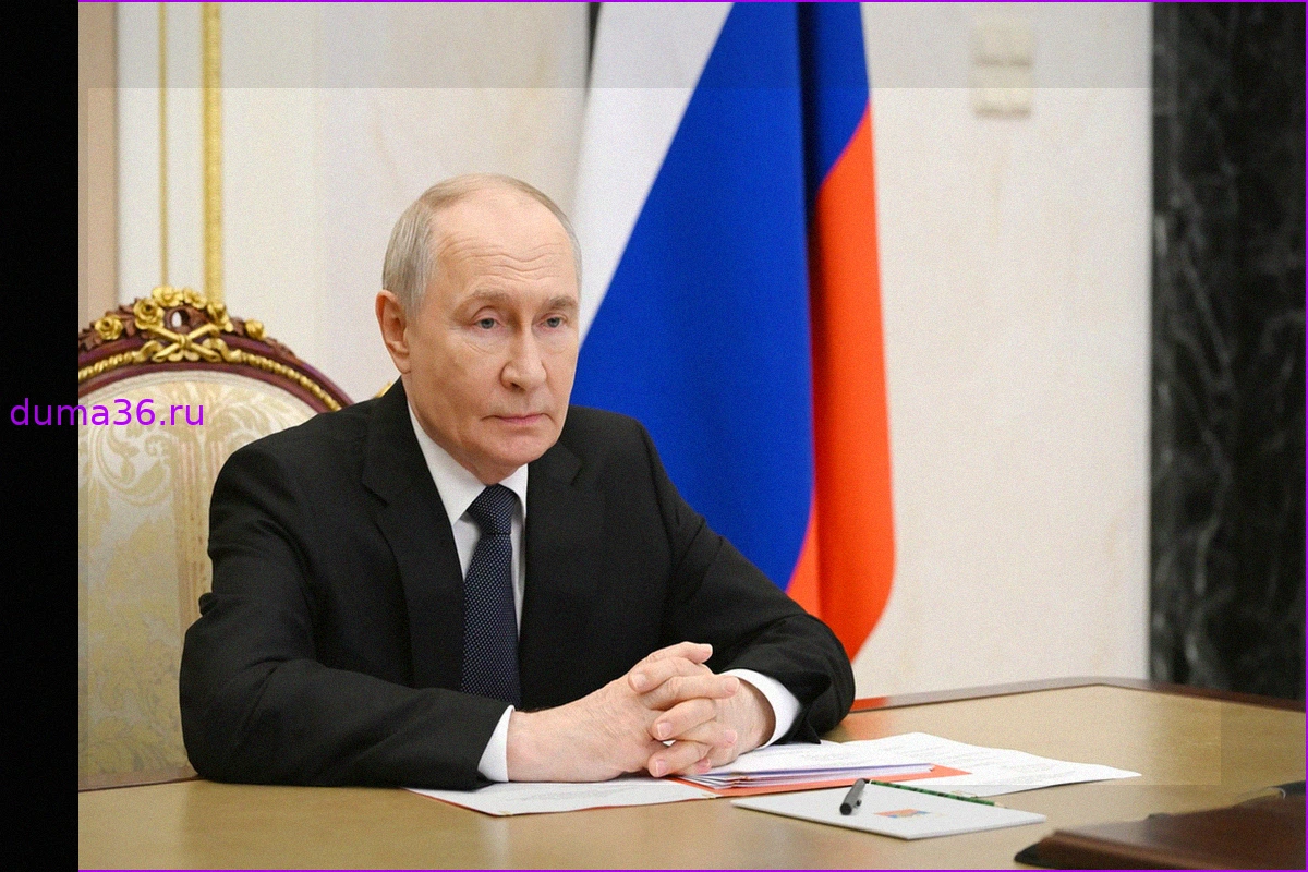 Путин и Трамп обсудили ключевые вопросы в телефонном разговоре