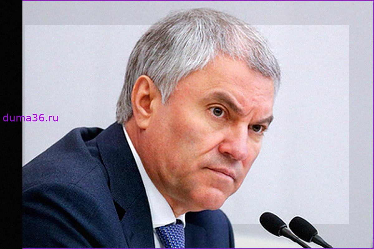 Вячеслав Володин призвал беречь историко-культурное достояние России