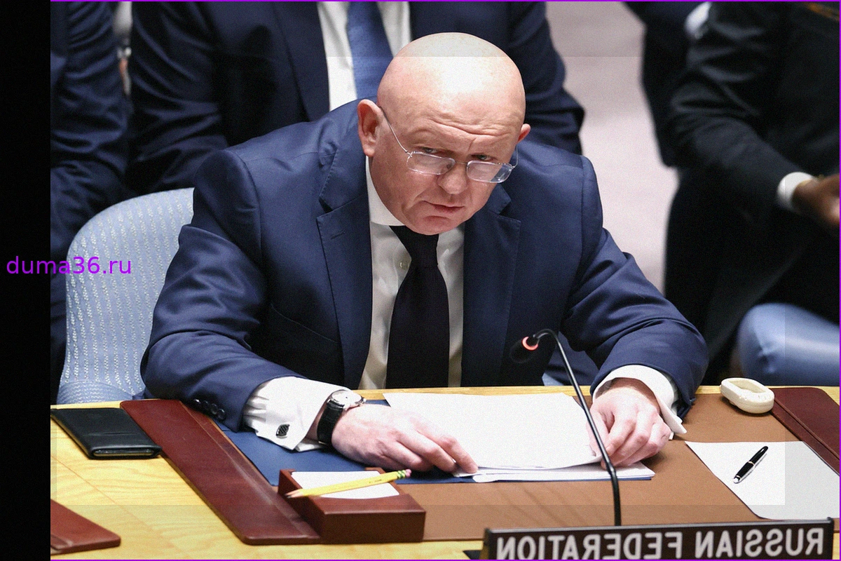 Василий Небензя дал рекомендацию украинскому постпреду по использованию поговорок