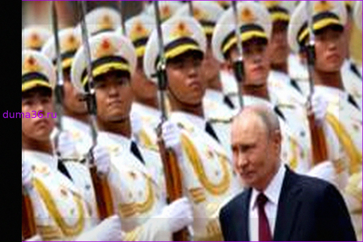 Асимметрия в отношениях: итоги визита Путина в Китай