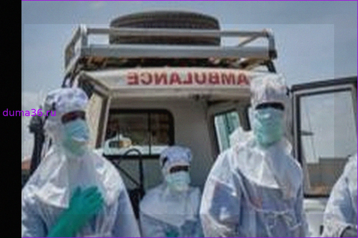 Эбола в ДР Конго: Шестилетний Пациент, Вывезенный Из Больницы, Найден