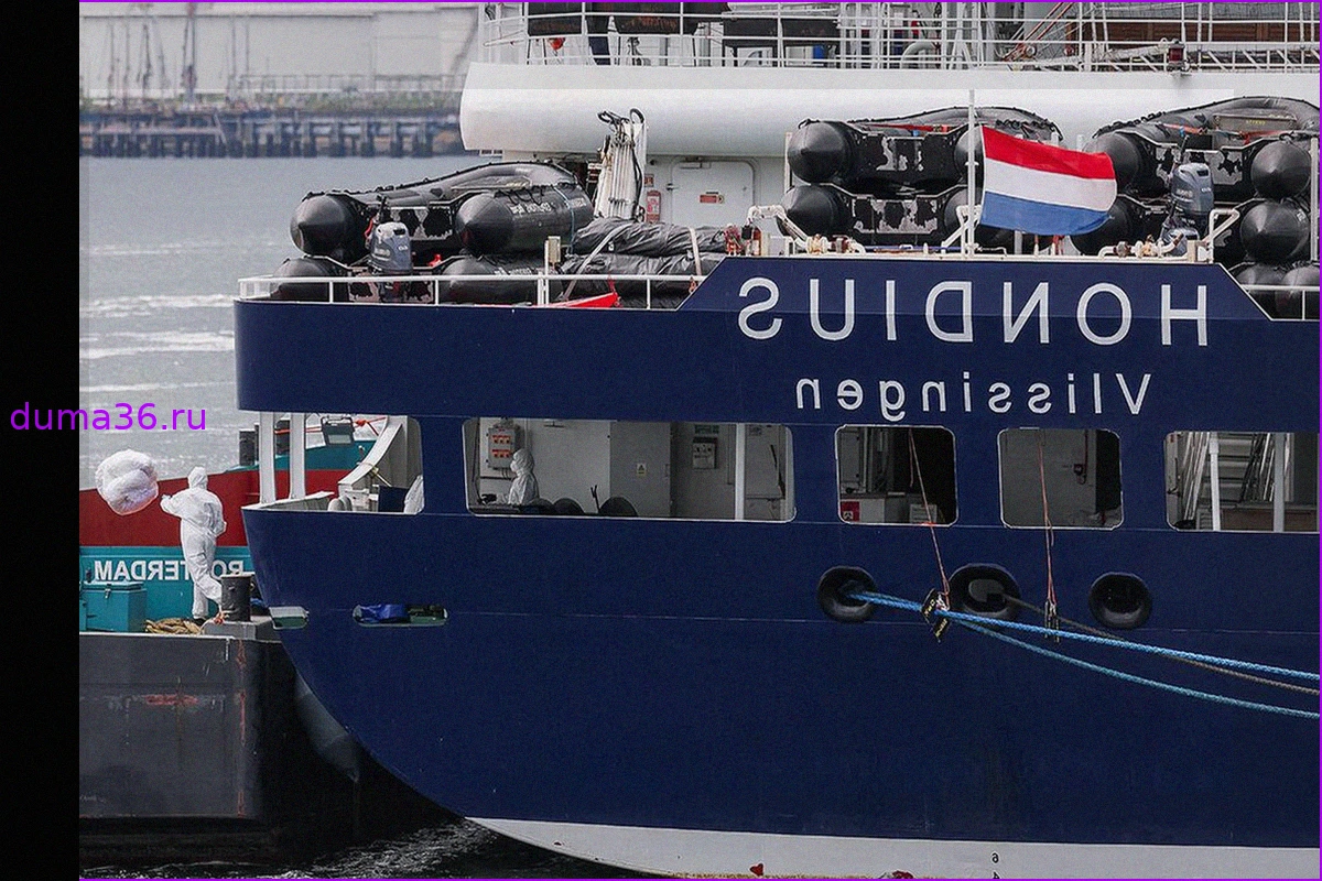 Вспышка хантавируса на круизном лайнере MV Hondius: число заболевших достигло 13 человек