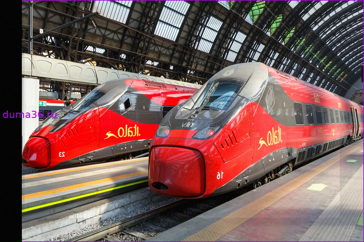 Deutsche Bahn стремится исключить итальянского конкурента Italo с немецких рельсов