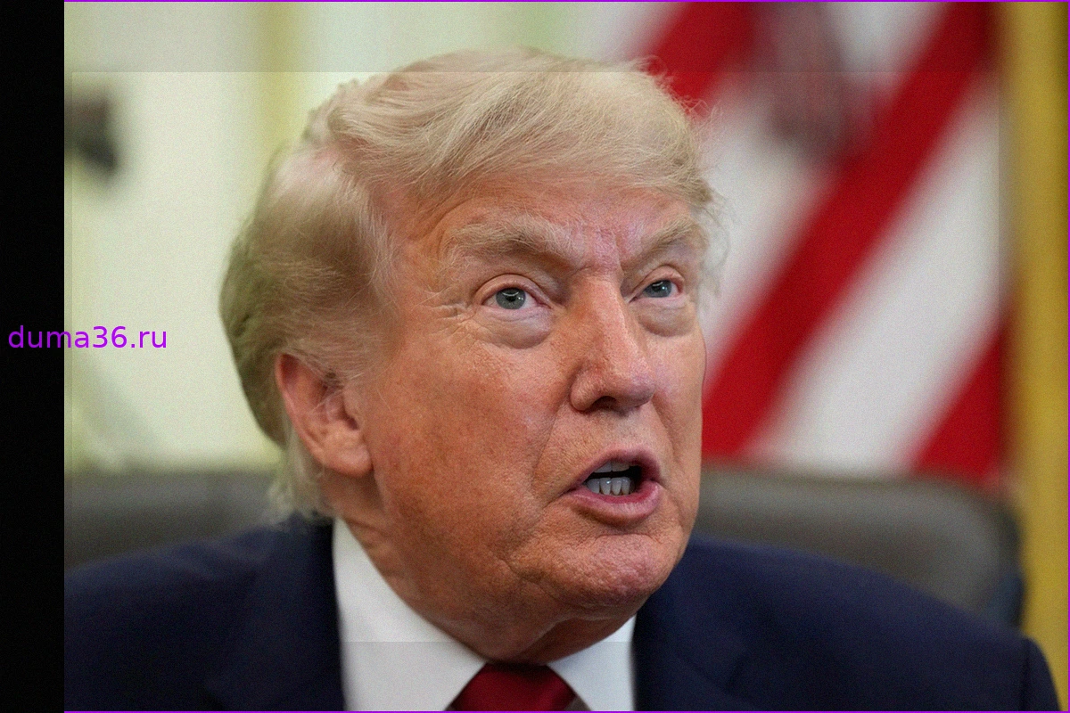 Дональд Трамп прокомментировал свои миллиардные доходы от криптопроектов: «Я не занимаюсь делами, всем руководят мои сыновья»