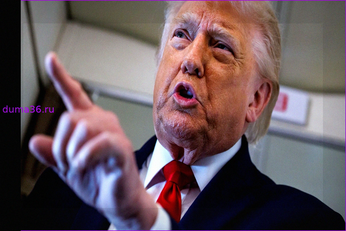 США при Трампе: «Вы либо неискренни, либо глупы» — Трамп прерывает интервью
