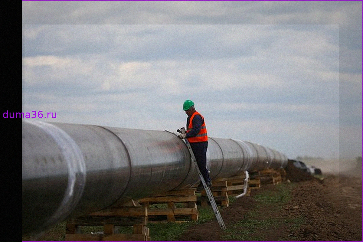 ЕС начинает первый этап запрета на трубопроводный газ из России