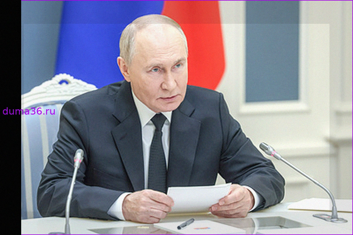 Владимир Путин заявил о продолжении оттеснения ВСУ от границ РФ и важности создания санитарной зоны