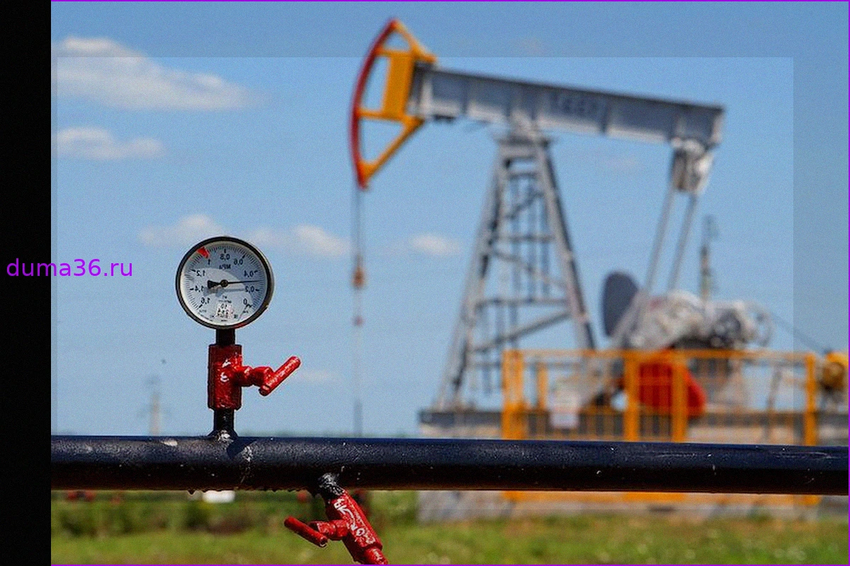 Крупнейший покупатель нефти захотел сократить зависимость от нее