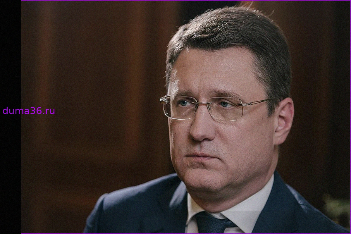 Новак поручил приоритетно поддержать топливный рынок ряда регионов