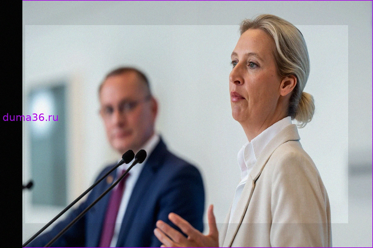 Пенсионные обещания AfD: Нереалистичные предложения и выгоды для состоятельных