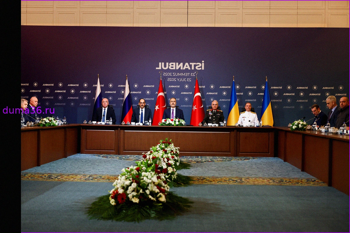 Турция призывает Запад поддержать мирные инициативы по Украине