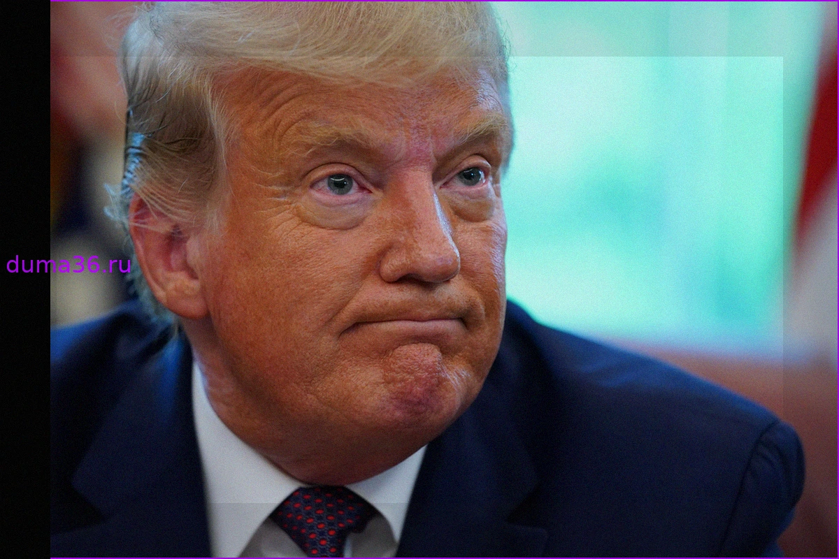 Трамп раскрыл ожидания от урегулирования на Украине