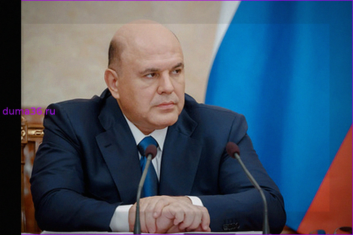 Мишустин настаивает на дальнейшем упрощении получения положенных гражданам льгот