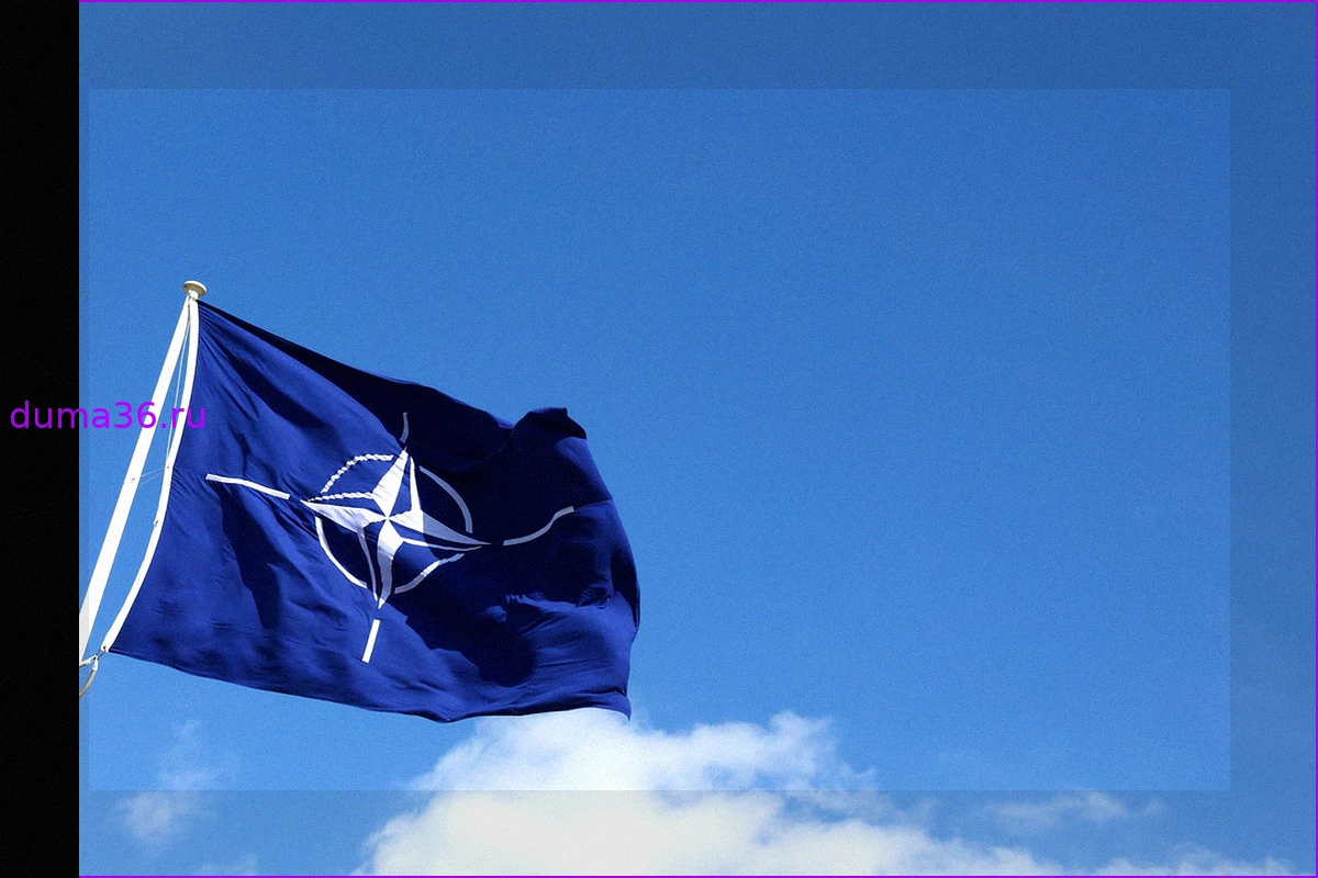 Масштабные учения НАТО Ramstein Flag 2026 стартуют у границ России