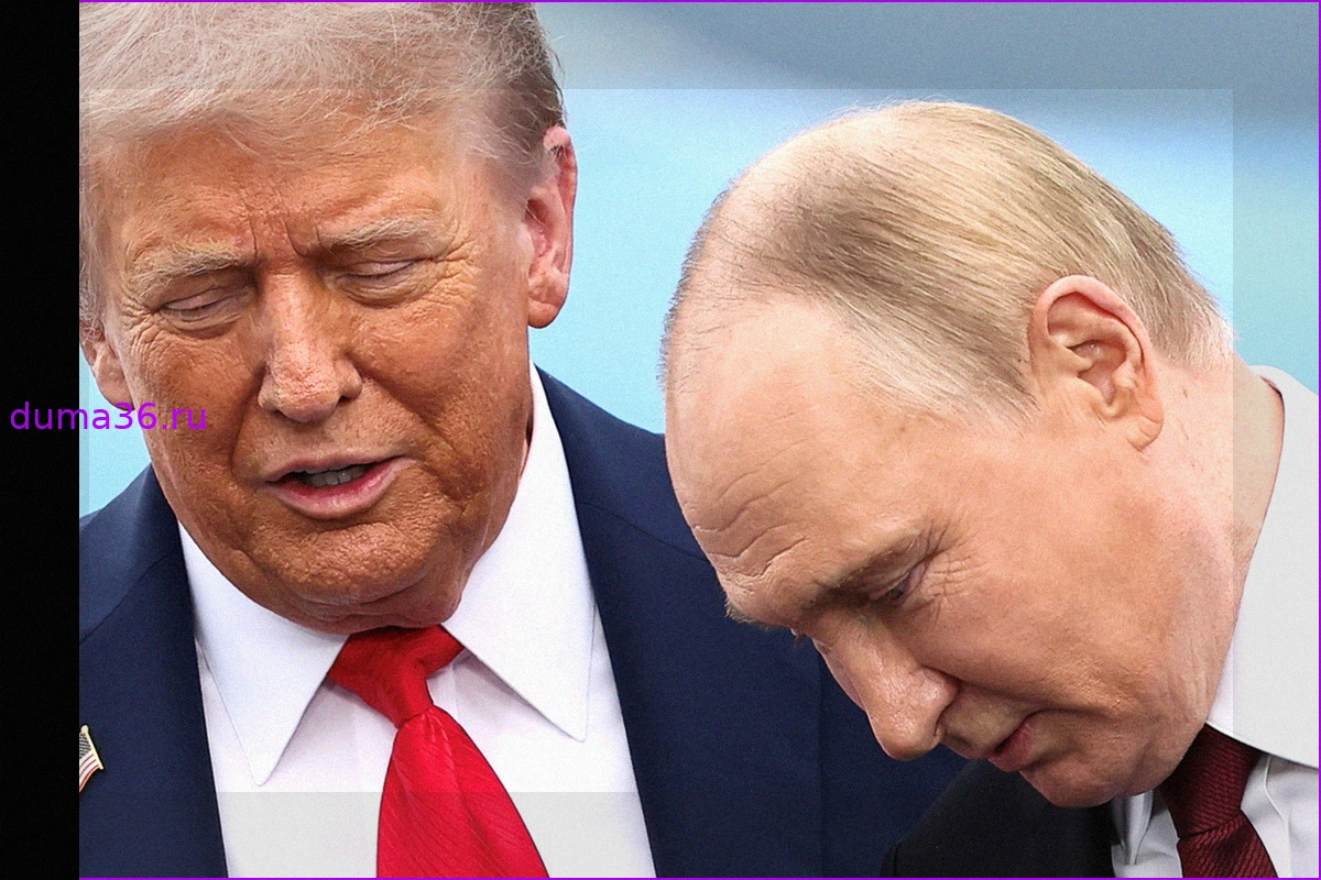 Заявления Трампа об отношениях с Путиным и Зеленским
