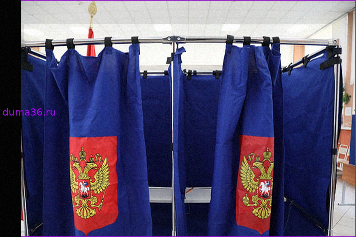 Выборы: Ожидаемый итог без энтузиазма