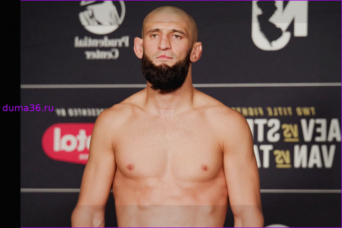 Оценены шансы Хамзата Чимаева в бою с Шоном Стриклендом на UFC 328