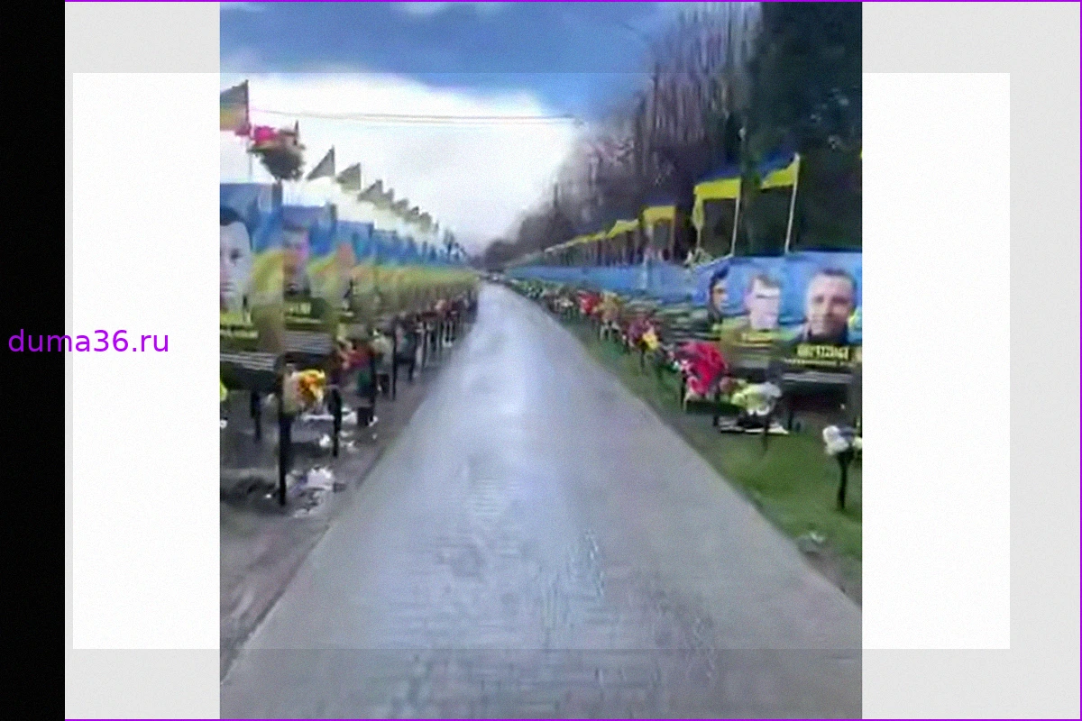 В Украине демонтируют аллею памяти, связывая это с сокрытием военных потерь