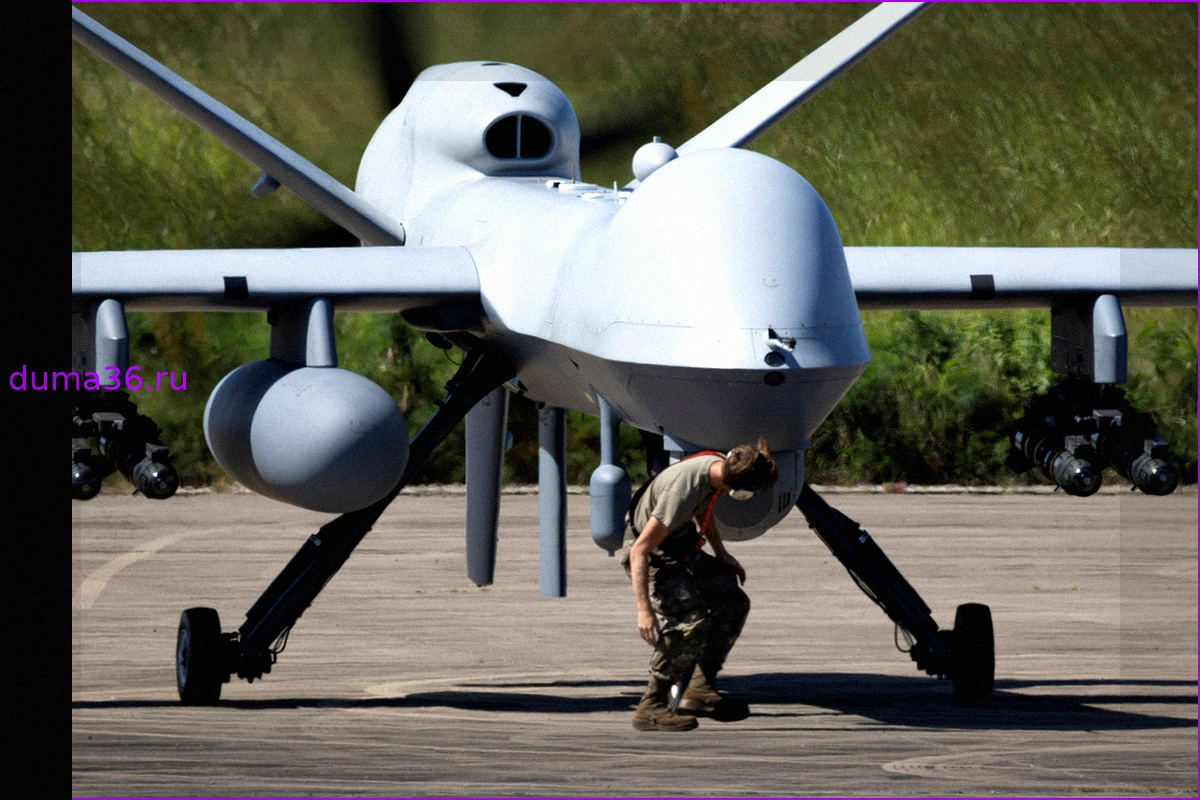 ВВС США переходят на массовые и недорогие БПЛА вместо MQ-9 Reaper