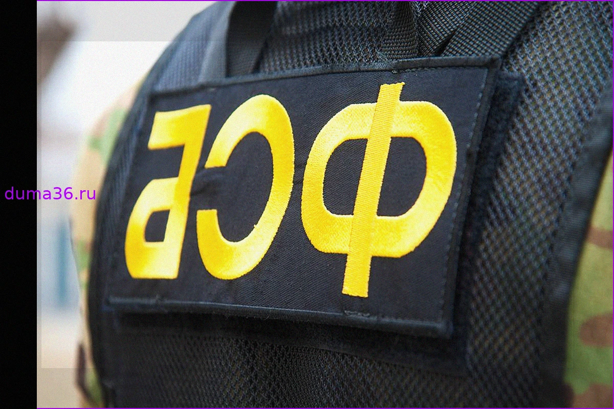 ФСБ: Бдительность жительницы Белгородской области помогла сорвать теракт