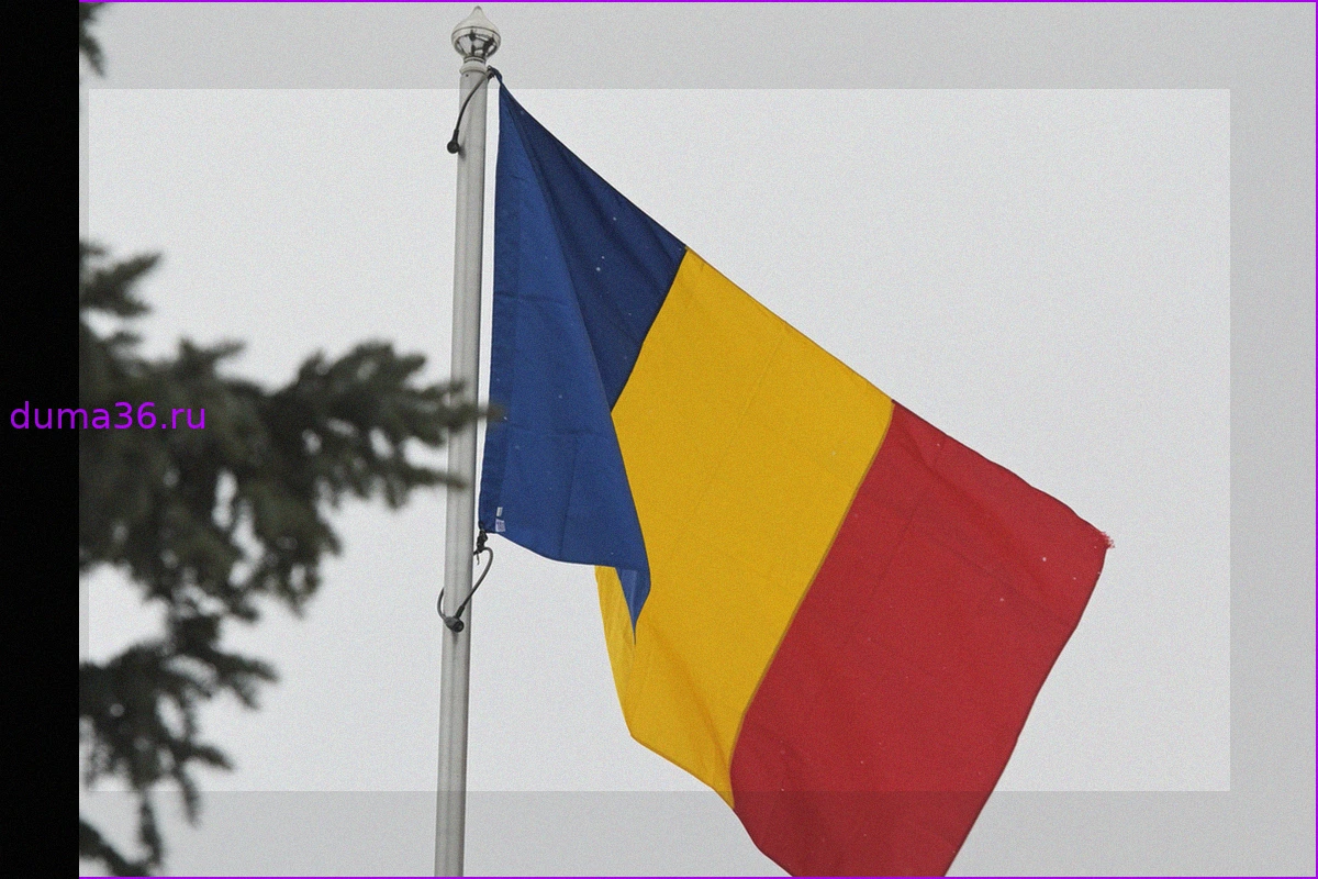 В Румынии призвали прекратить военную поддержку Украины