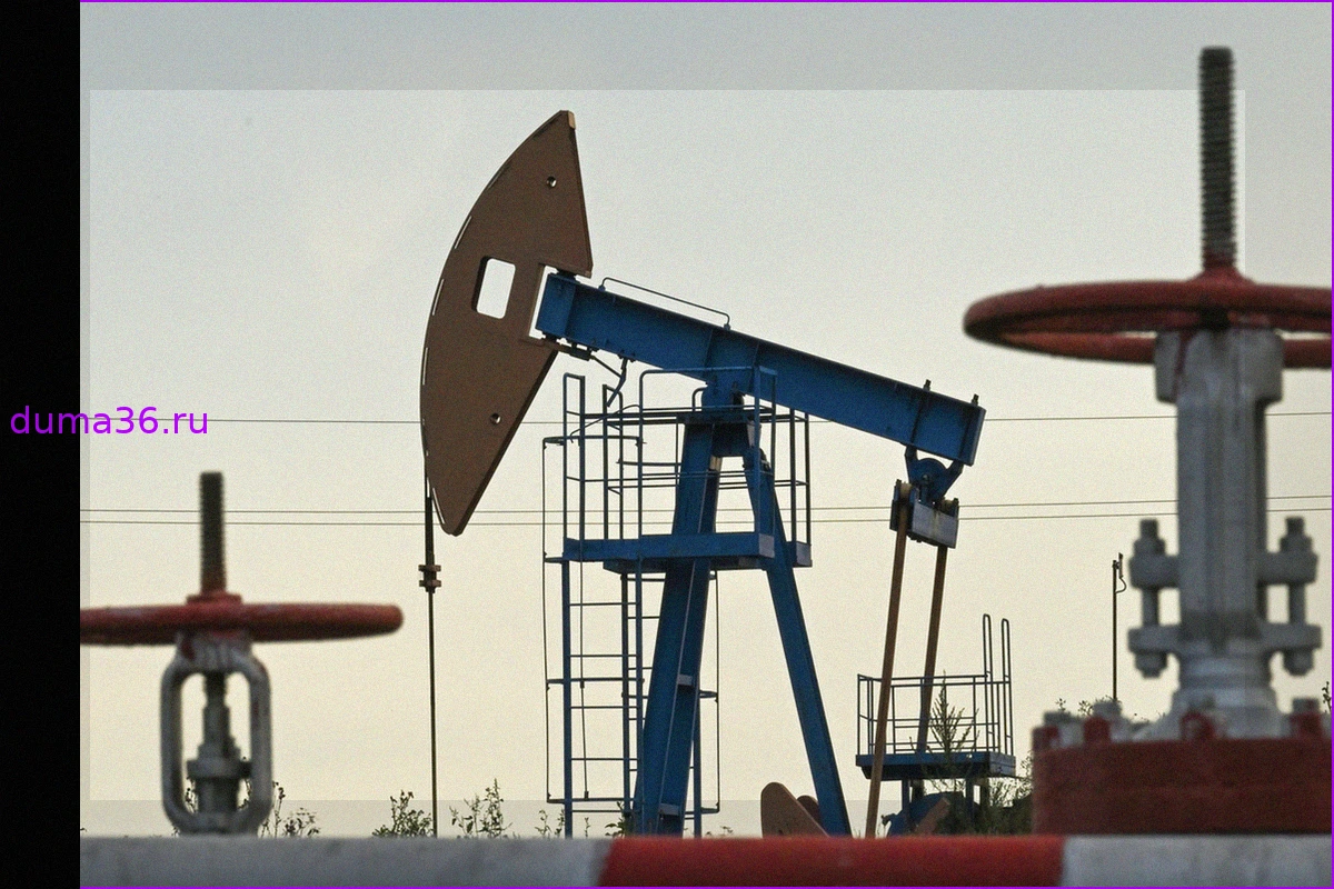 Три страны ЕС выступили за скорейший запрет импорта российской нефти