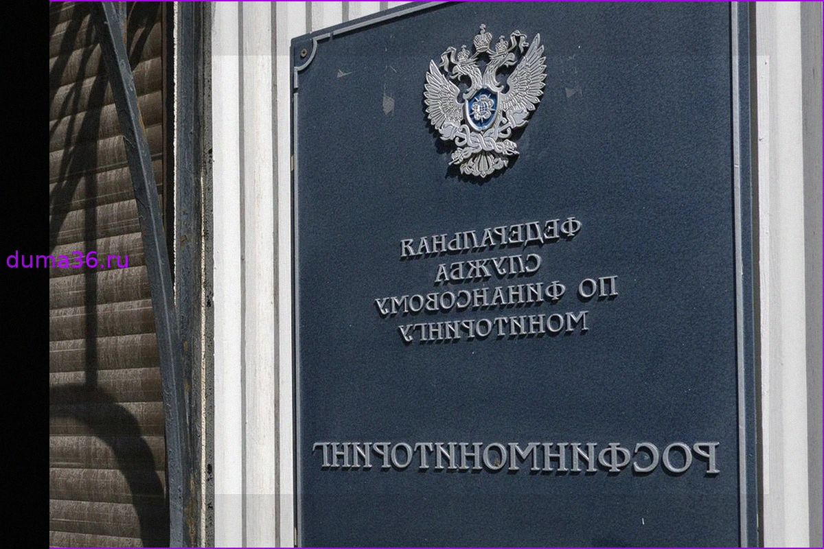 Петербургскую группу «Выход» внесли в реестр экстремистских организаций