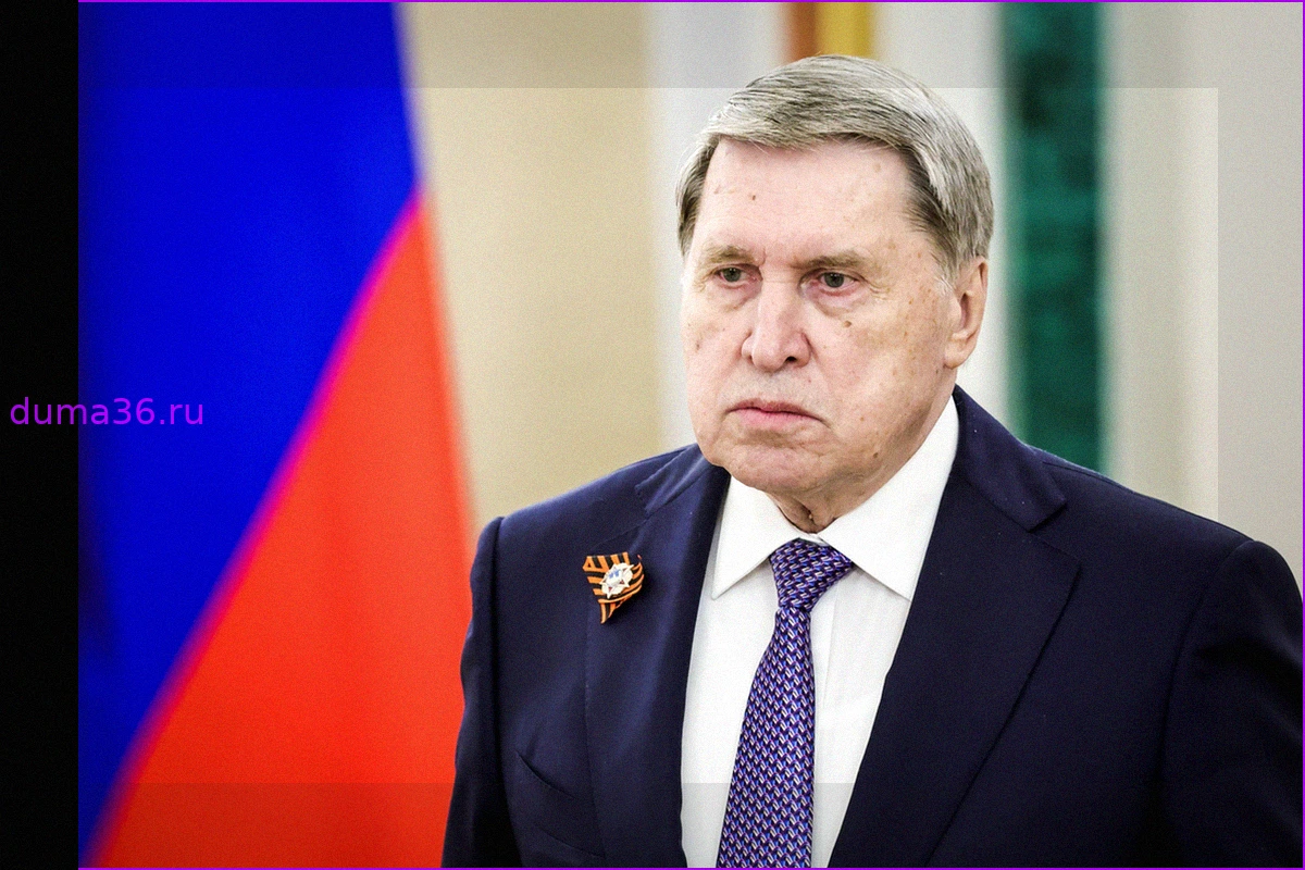 Переговоры по Украине приостановлены: Кремль ждет конкретных шагов