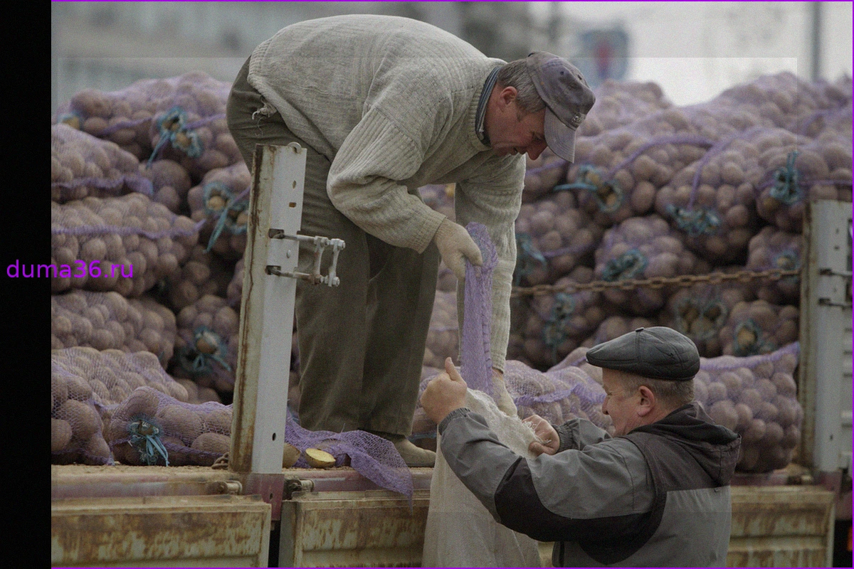 Назван самый подешевевший в августе продукт