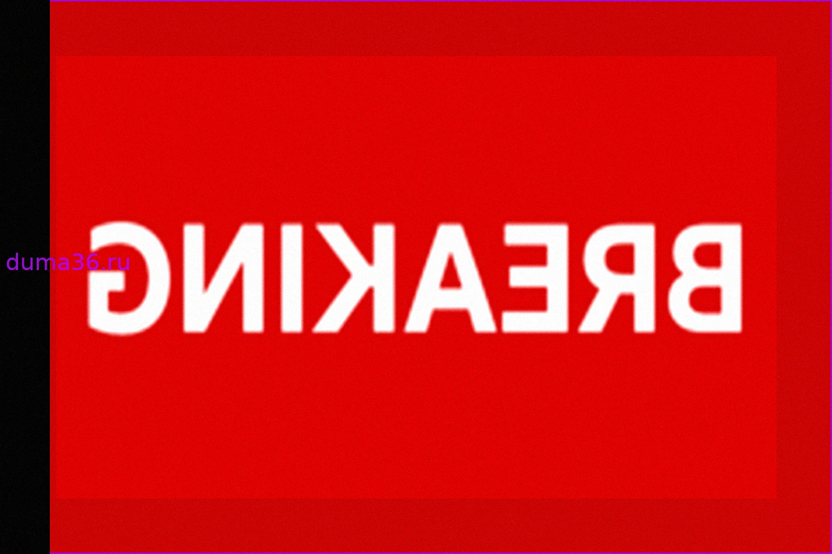 Солдат погиб после падения с лошади на Королевском конном шоу в Виндзоре