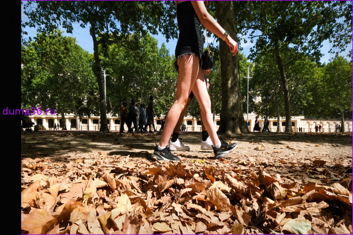 Дожди приходят, но грозит ли Великобритании новая волна жары в сентябре?