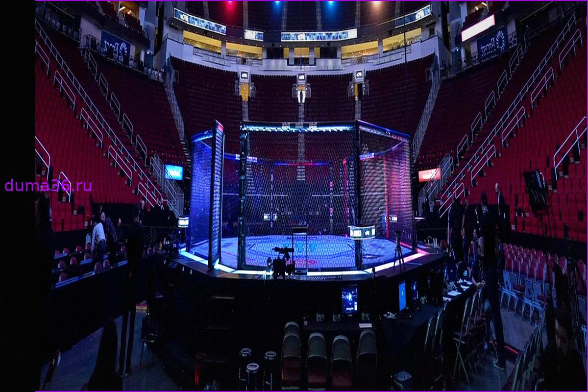 Предварительный обзор боя Ислам Махачев — Иэн Гэрри на UFC 330: Дата, Время, Карточки Бойцов и Где Смотреть