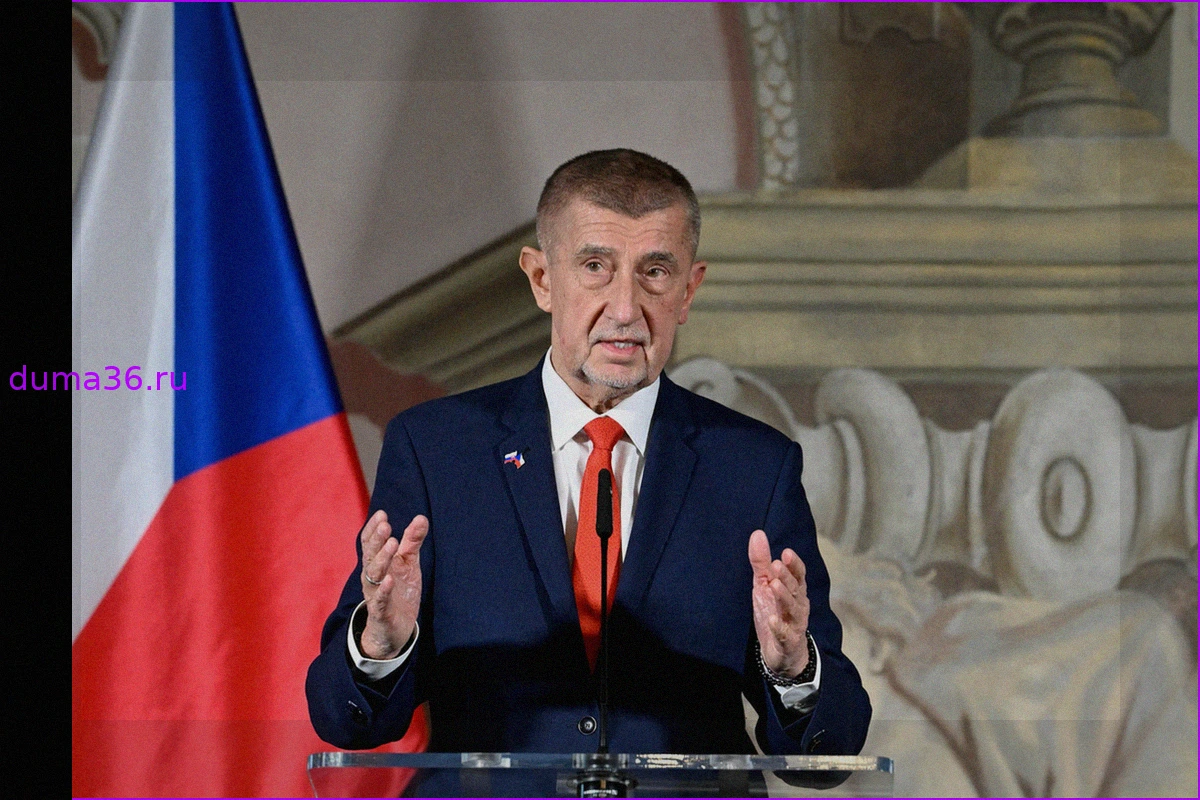 Андрей Бабиш сравнил Евросоюз с Римской империей на фоне политики декарбонизации