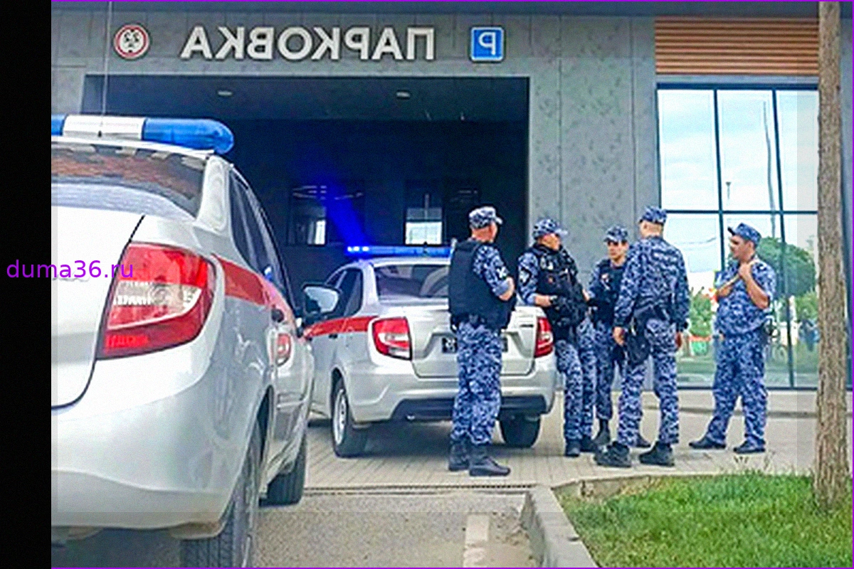 Бастрыкин потребовал доклад по делу о нападении на посетителей ТЦ в Краснодаре