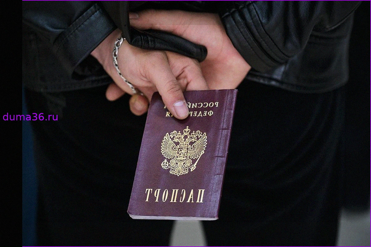МВД РФ сообщило об аннулировании гражданства у более чем 4,5 тысяч человек с октября 2023 года