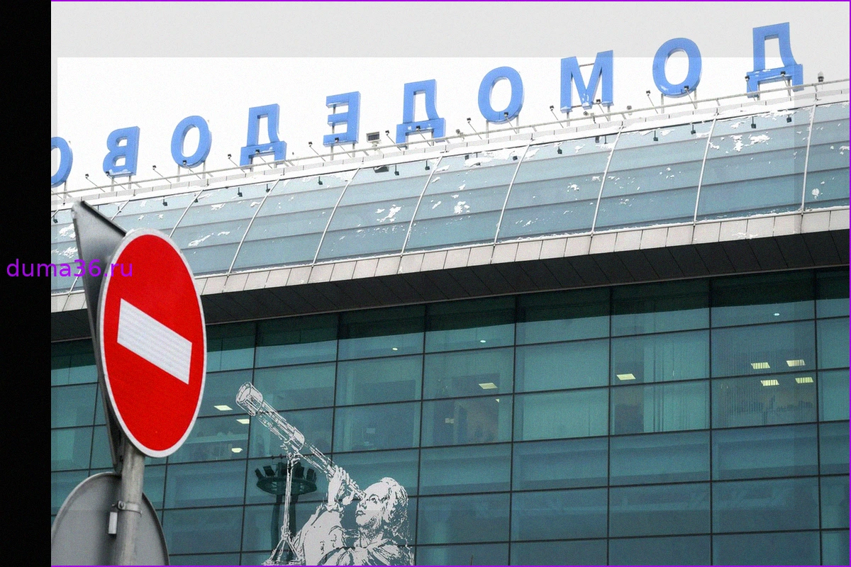 В Домодедово и Пензе введены ограничения на полеты