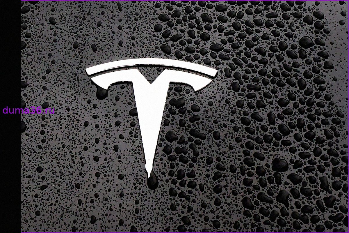 Tesla отзывает тысячи Model Y из-за отсутствия важной сертификационной наклейки