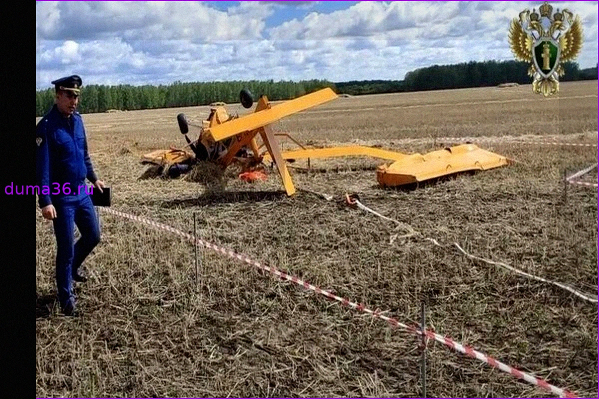 Открывшийся капот двигателя мог стать причиной крушения самолета в Омской области