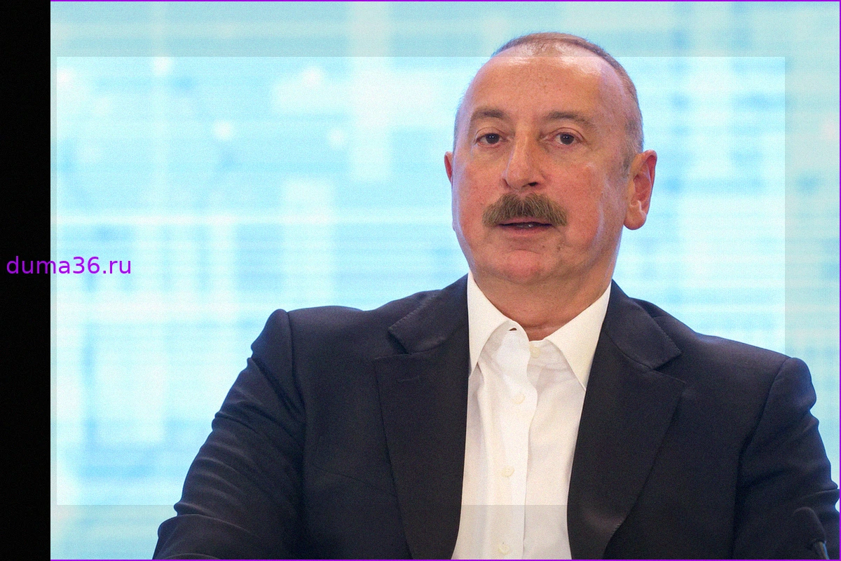 Алиев резко раскритиковал наблюдателей ЕС на границе Армении и Азербайджана