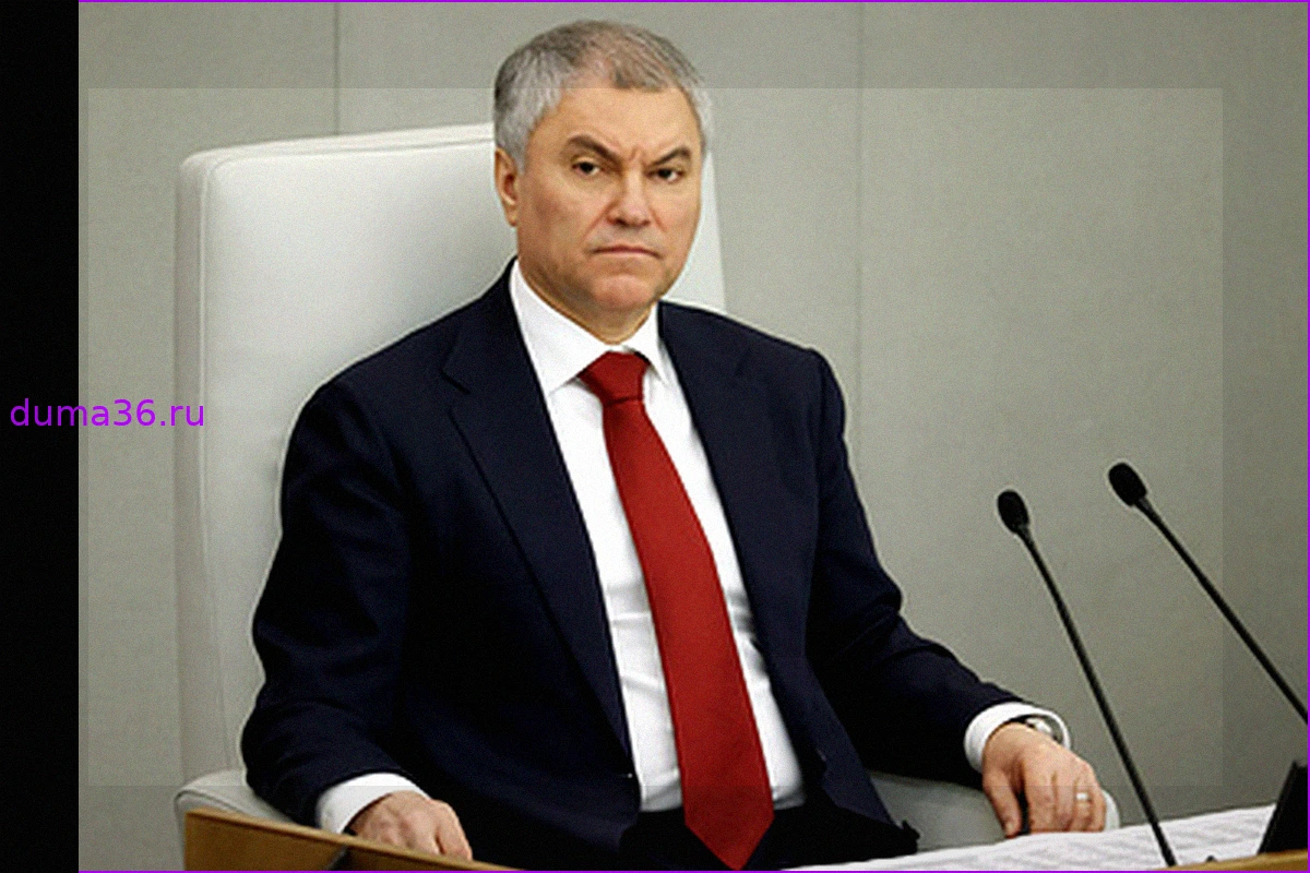 Володин: Депутаты столкнулись с давлением при обсуждении запрета вейпов