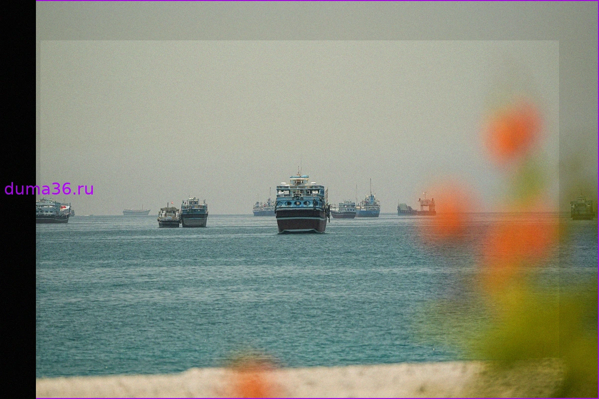Иран вводит оплату за морские услуги в Ормузском проливе