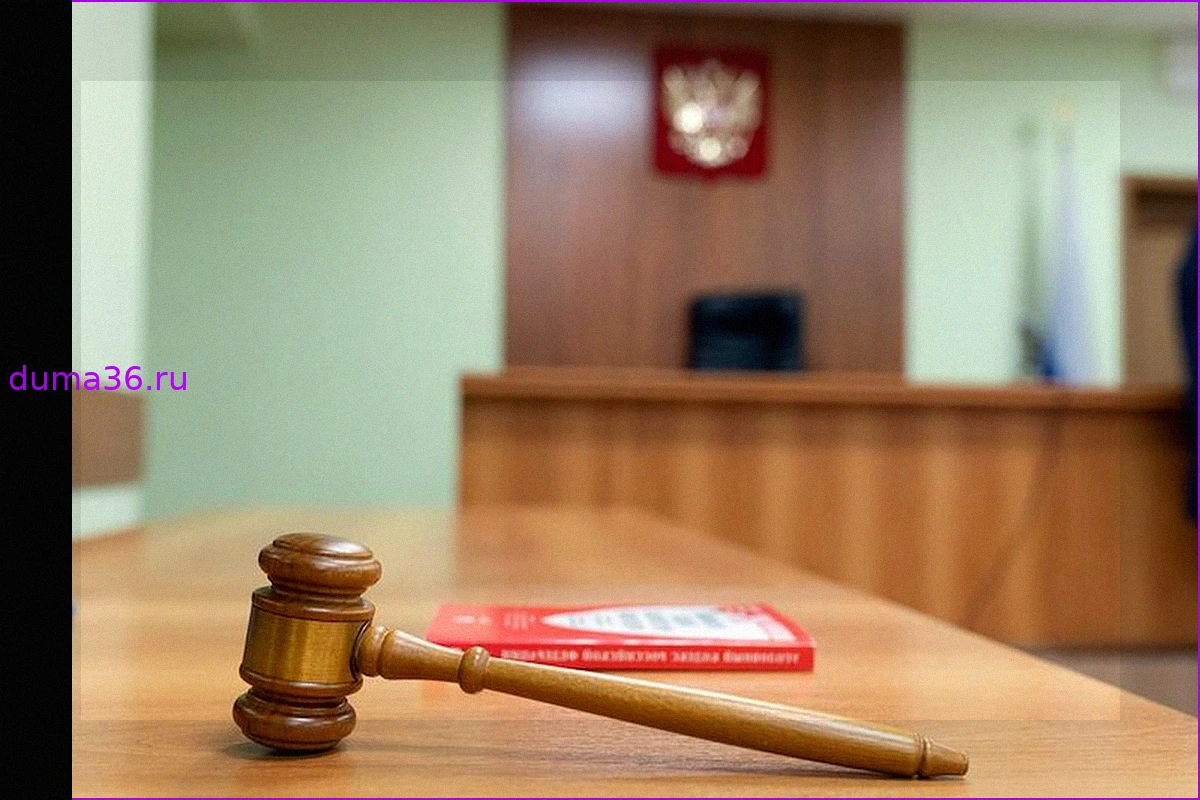 Водитель осталась без компенсации после ДТП с животным на платной трассе
