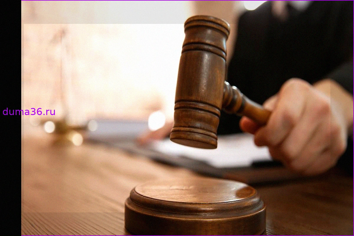 В Кузбассе вынесен приговор мужчине за насилие над малолетними племянницами