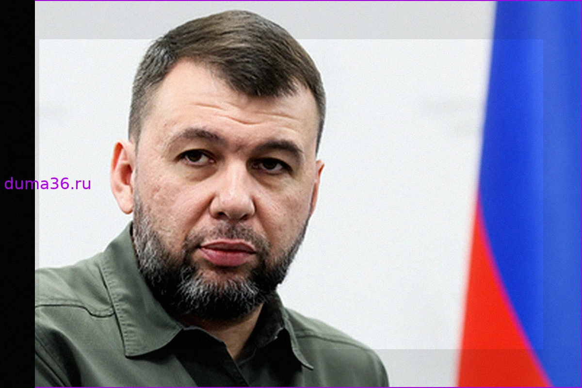 Пушилин: буферная зона в Днепропетровской области зависит от оружия ВСУ