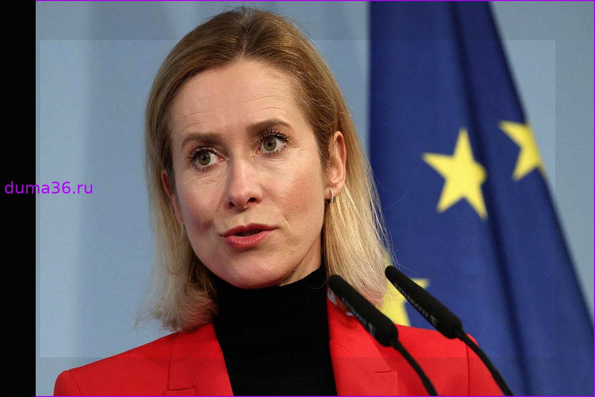 Небензя высмеял идею сделать Каллас посредником в переговорах по Украине