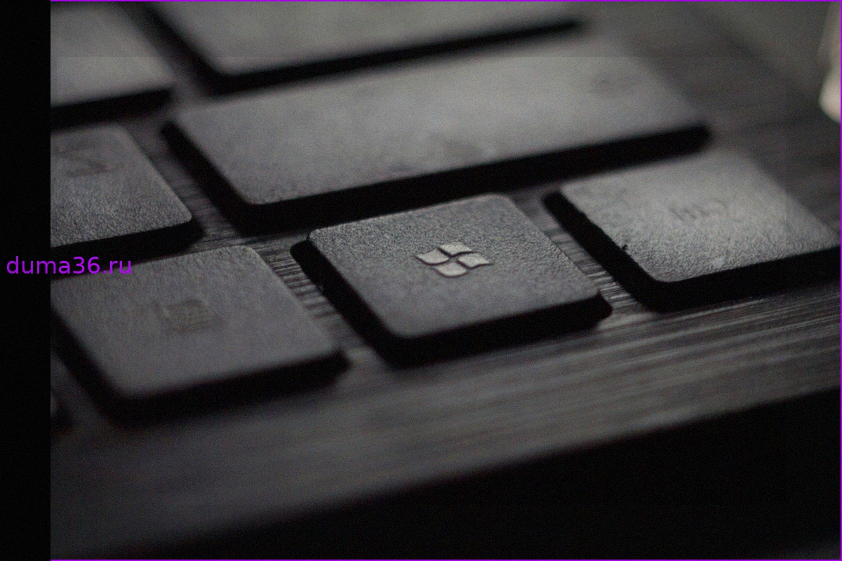Обновление Windows 11 вызвало критические сбои на ноутбуках HP из-за ошибки BIOS