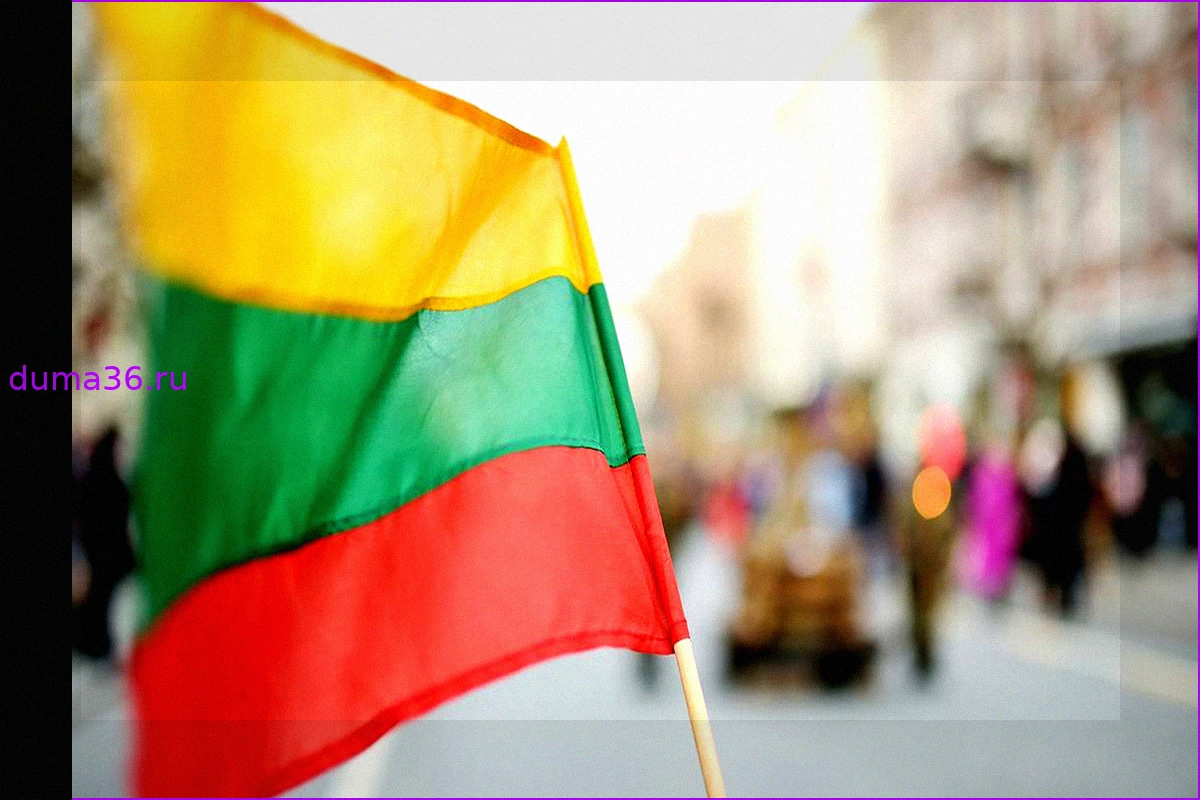 Упавший в Литве беспилотник предварительно признали украинским