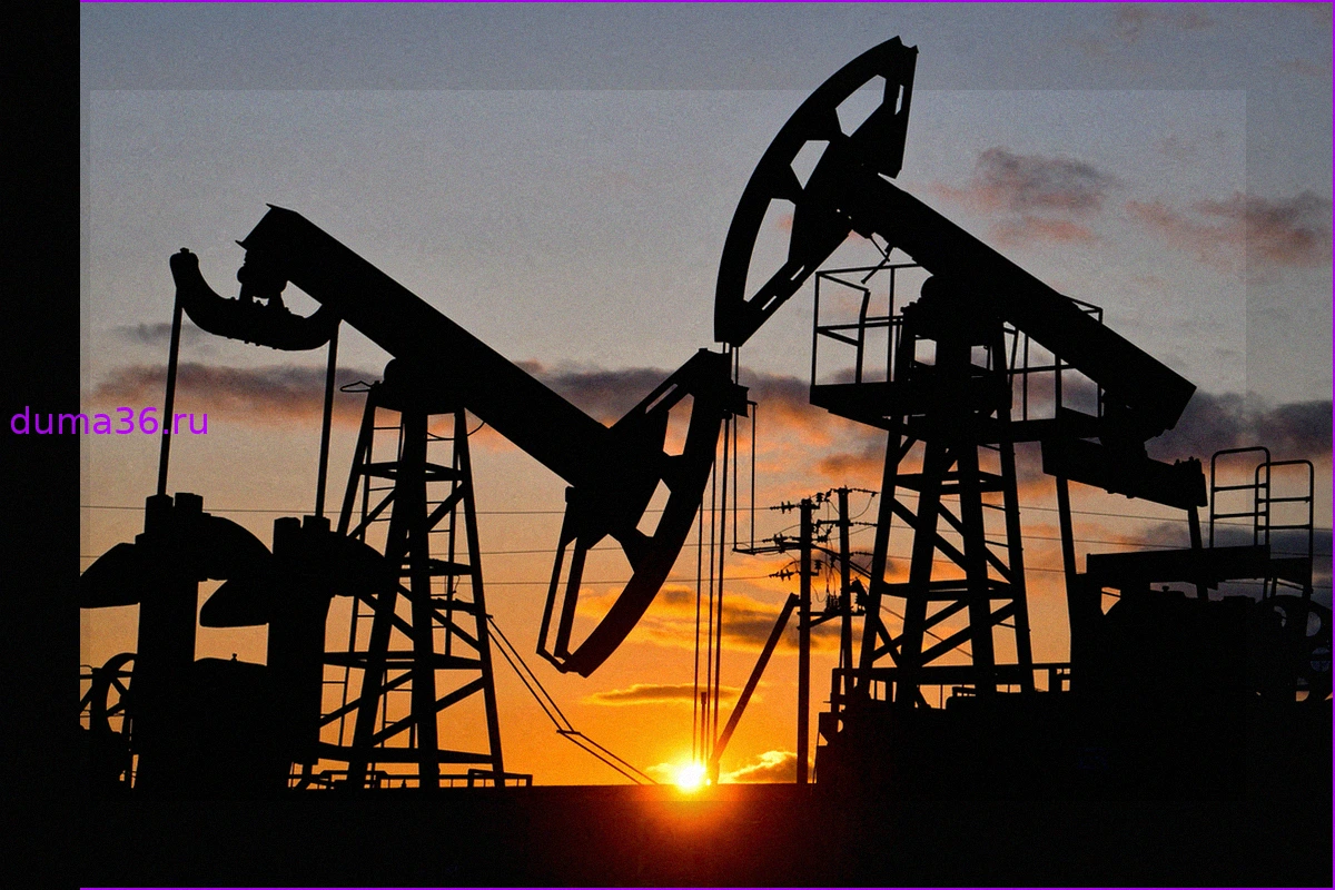 Доходы России от продажи нефти и газа удивили экспертов