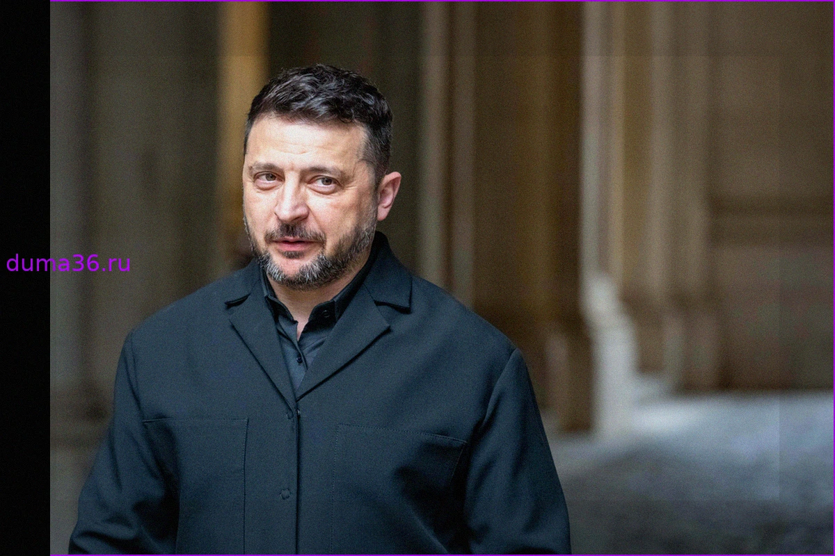 В Европе рассказали о страхе Зеленского после угроз в адрес Лукашенко
