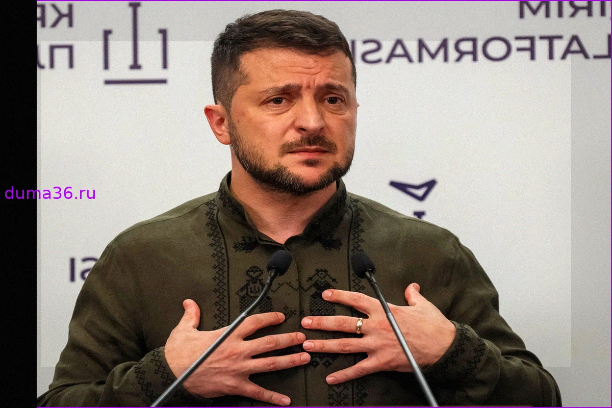 Выступление Зеленского в Швеции назвали «жалким зрелищем»